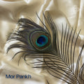 Mor Pankh