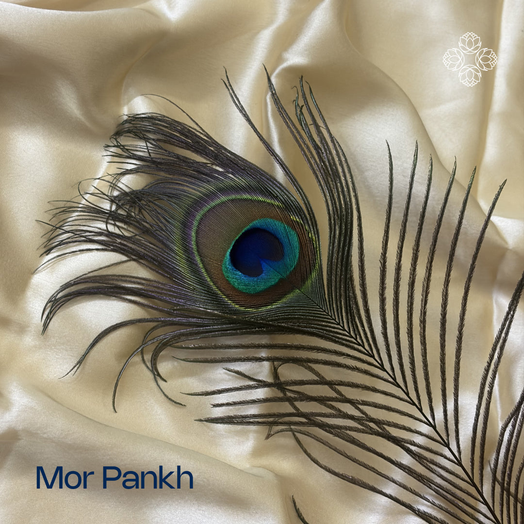 Mor Pankh